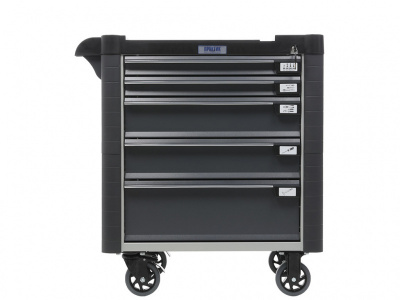 WDS-5.0 NEW (4)